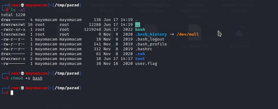 bash2.png